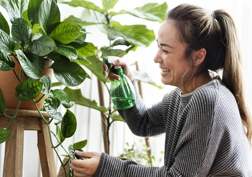 aplicativos plantas